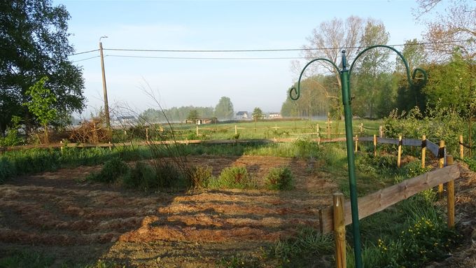 Veel te droog om de wilde bloemenweide te laten ontkiemen... (foto CdC)