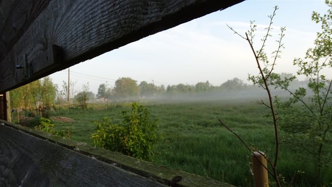 En nu maar wachten... (foto CdC)