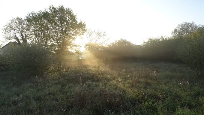 Zon breekt door... (foto CdC)
