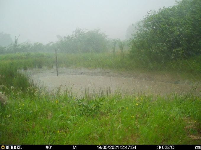 Eindelijk regen...