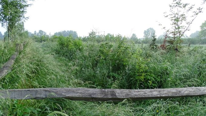 't Kan weeral gemaaid gaan worden... (fotoCdC)