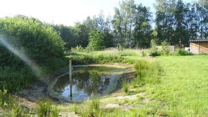 Zonnige dagen drinken van de poel... (foto CdC)