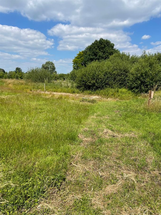 Het bankje aan de poel gaat op in het landschap...