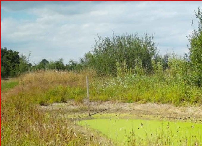 En weg is de duif... (zie nog net de staart in rechterbovenhoek)