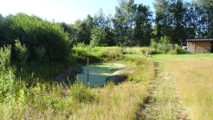 De poel staat laag... (foto CdC)