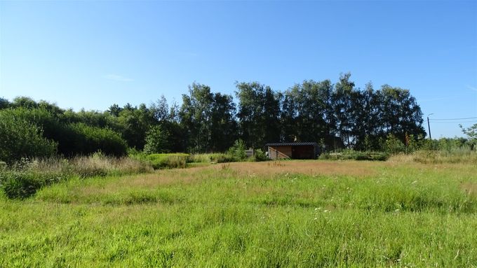 Het gemaaide pad nog net zichtbaar... (foto CdC)