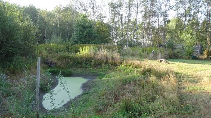 Lage waterstand... (foto CdC)