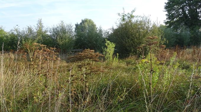 Puur Natuur bij d'Artagnan... (foto CdC)