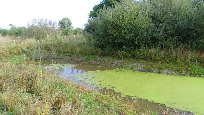 De poel is weer wat bijgevuld, kroes kan niet volgen... (foto CdC)