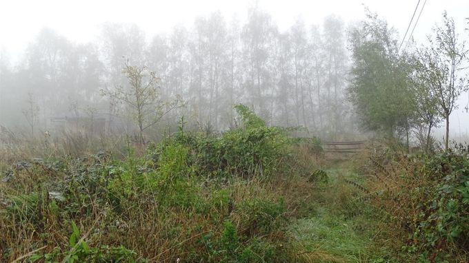 Lekker ruig... (foto CdC)