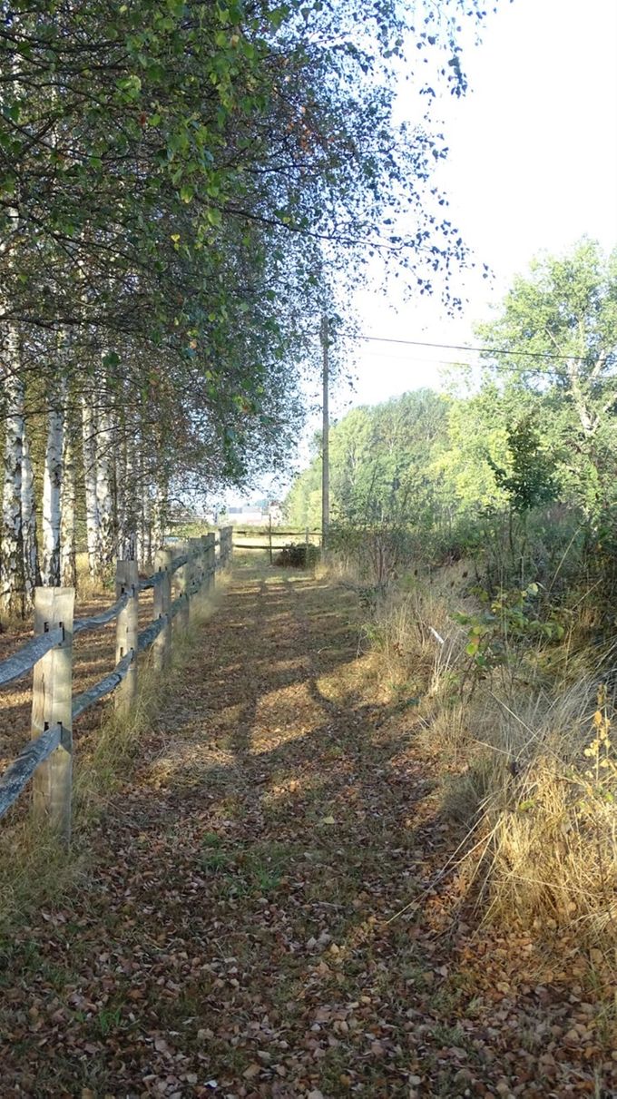 Heerlijk wandelen hier... (foto CdC)