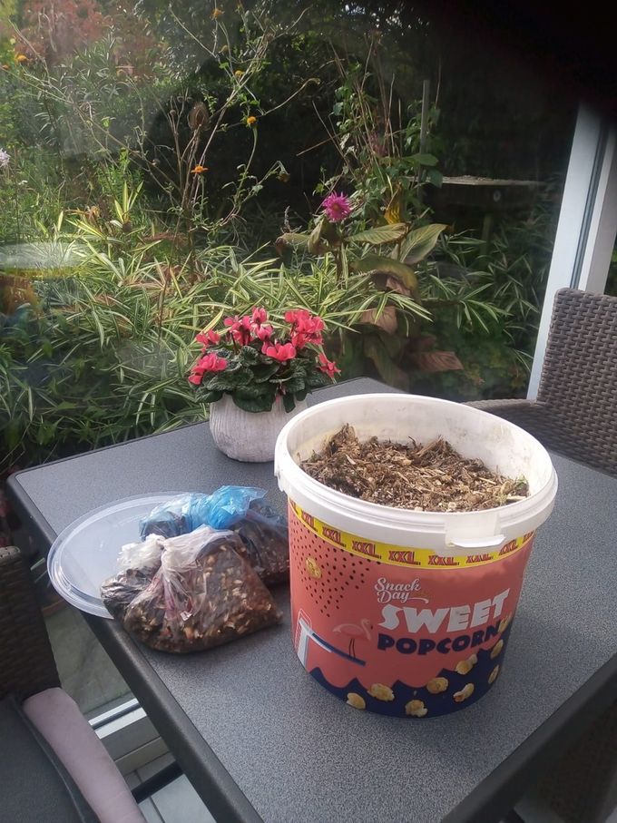 Een popcornemmer vol geoogste wildebloemenzaden ... (foto CdC)