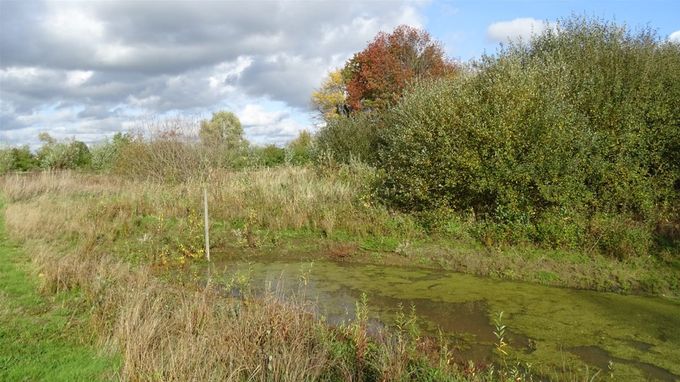 Er is nog plaats voor wat kroes... (foto CdC)