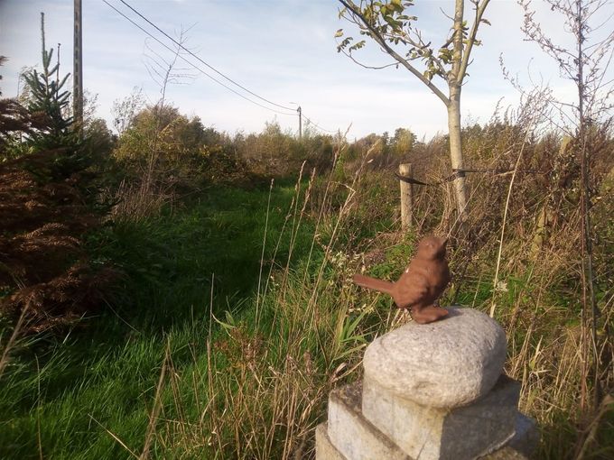 De vogel blijft goed zitten... (foto CdC)